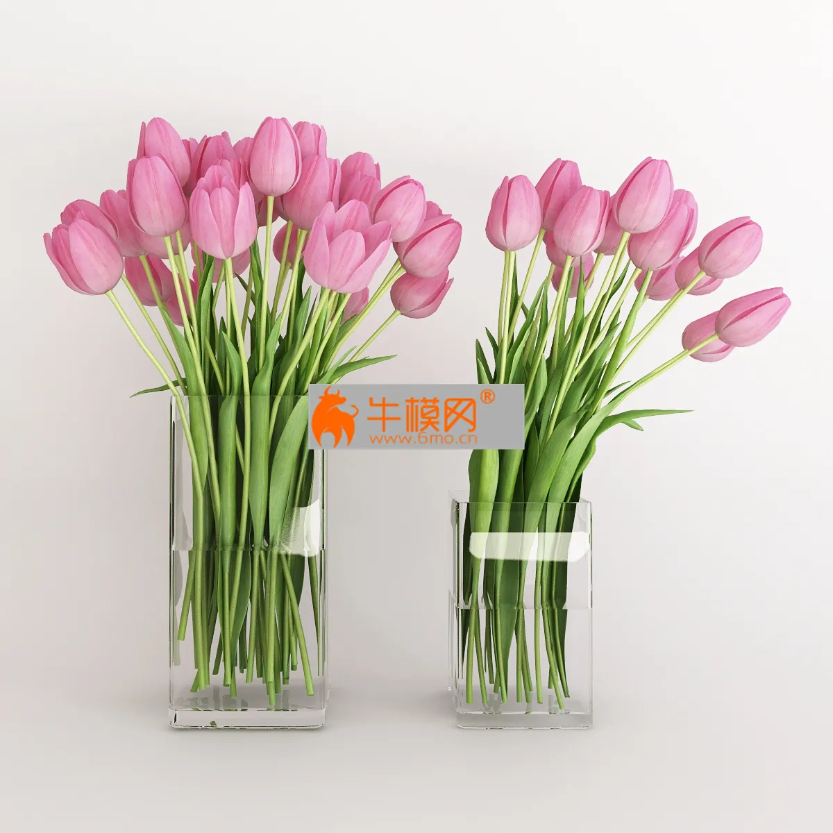 Two vases with pink tulips – 6655