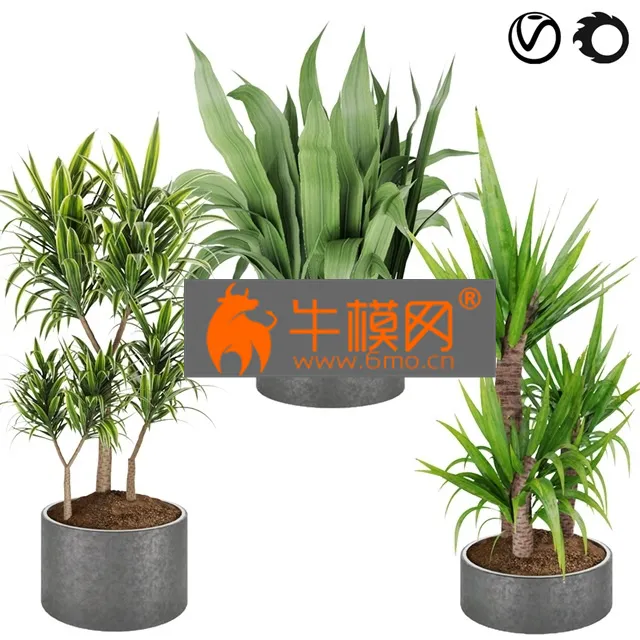 PLANT – Collection plant vol 6