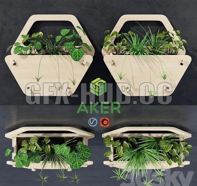PLANT – Hexagon wall planter