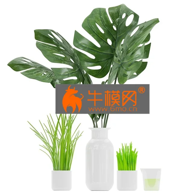 PLANT – Plant 04 (monstera, grass, aloe vera)