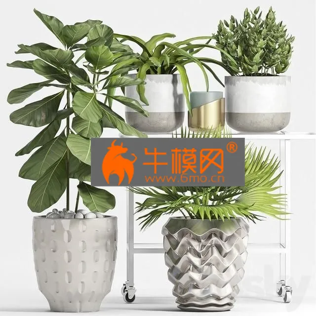 PLANT – Plant Set 59