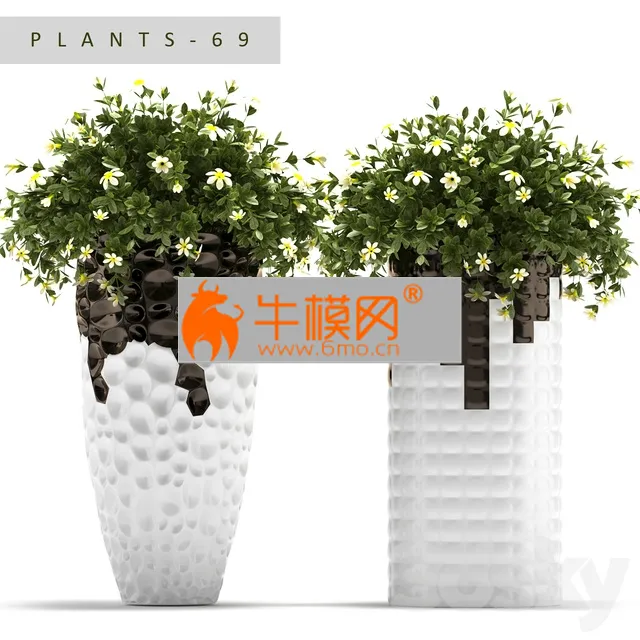 PLANT – PLANTS 69