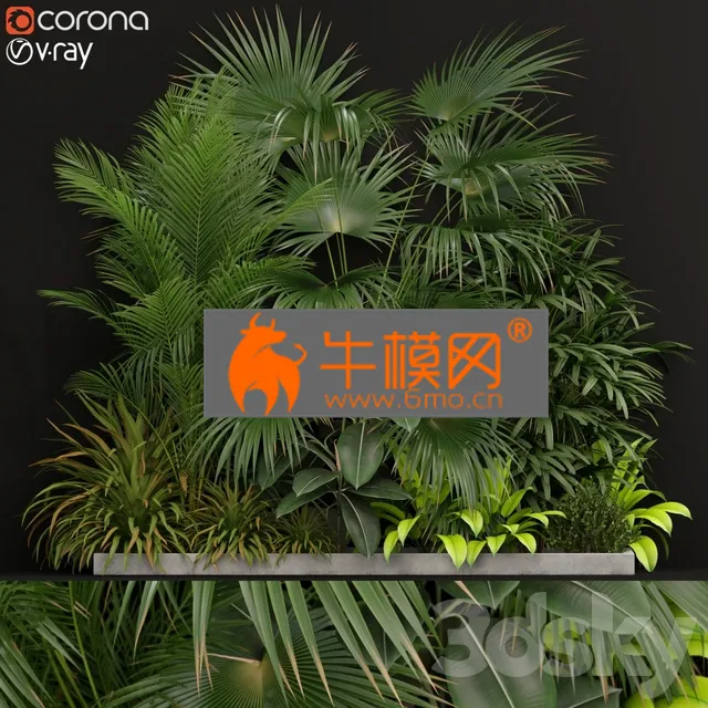 PLANT – Plants collection 197