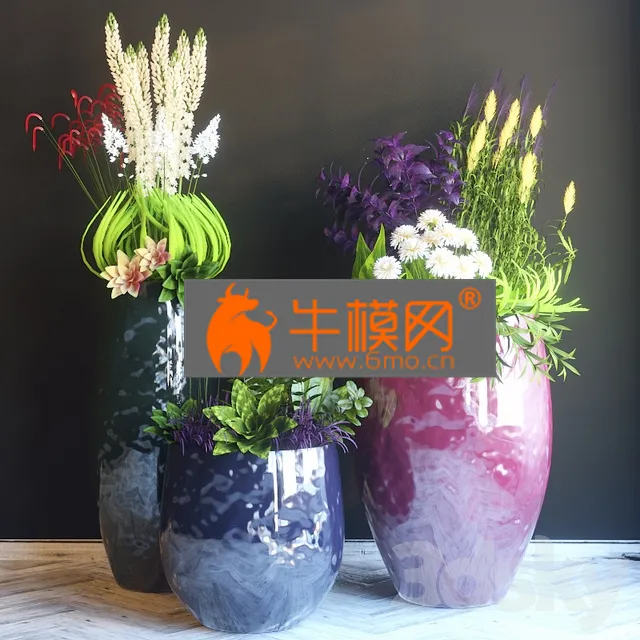 PLANT – Pots with flowers