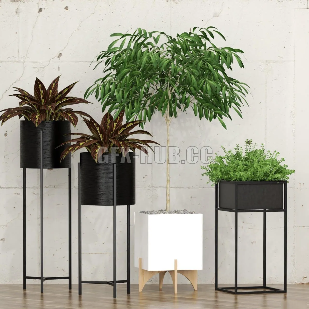 PLANT – Potted plants 10