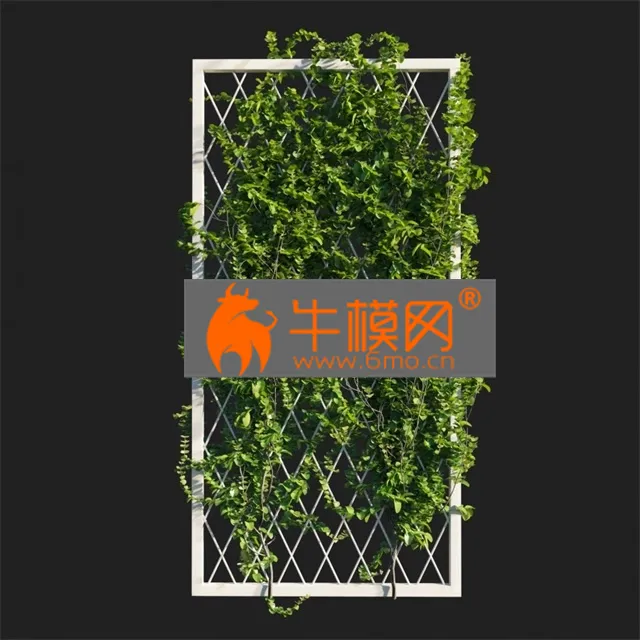 PLANT – Vines on wall