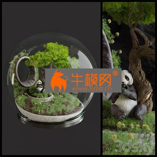 PRO MODELS – Florarium Bonsai