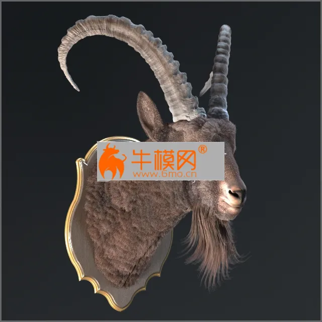 PRO MODELS – Siberian ibex