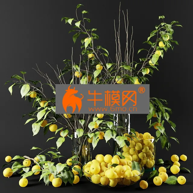 TREE – Bouquet of Chinese apple tree branches with yellow apples