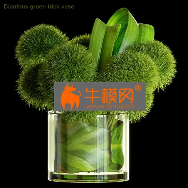 VASE – Dianthus green trick vase
