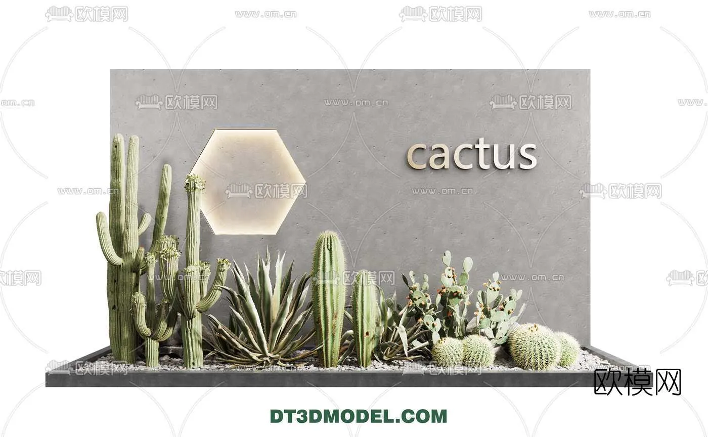 PLANT – CACTUS 3DMODELS – 001