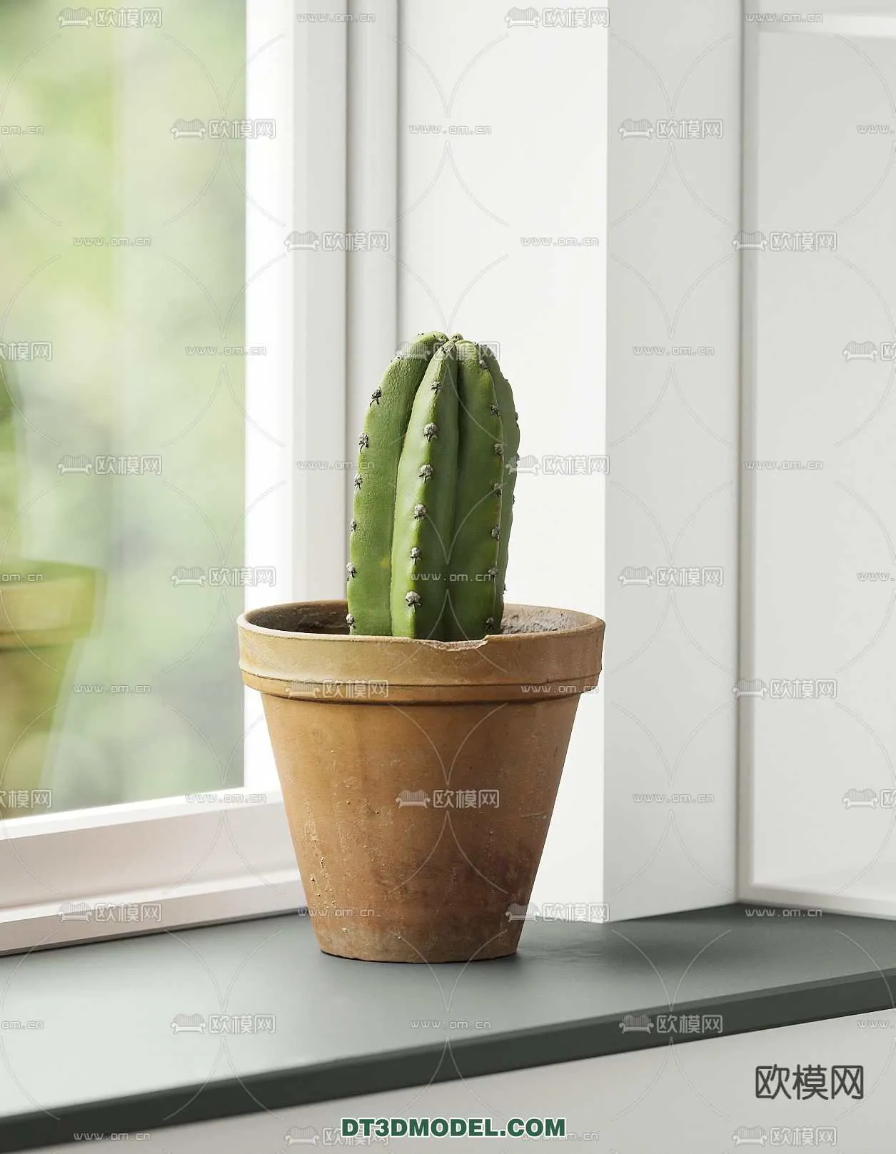 PLANT – CACTUS 3DMODELS – 041