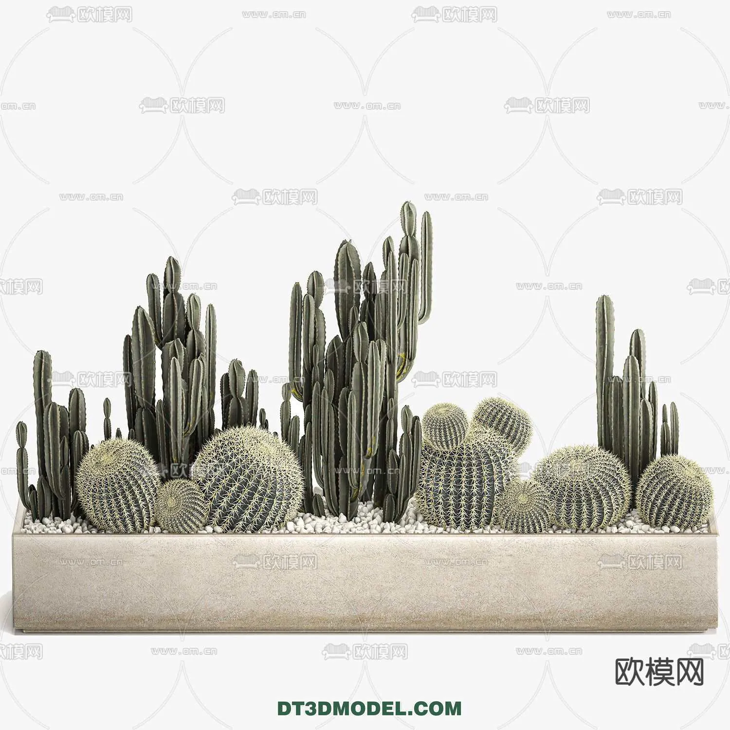 PLANT – CACTUS 3DMODELS – 047