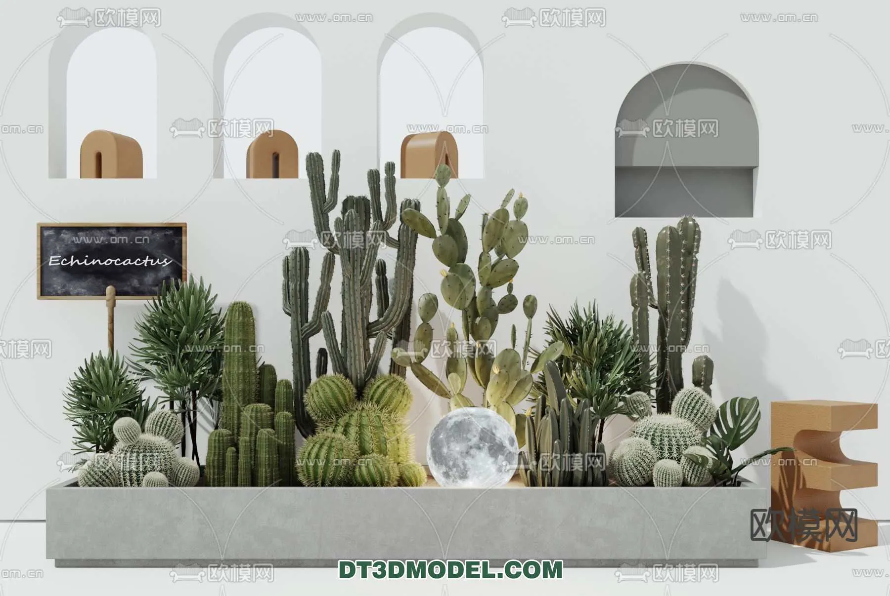 PLANT – CACTUS 3DMODELS – 078