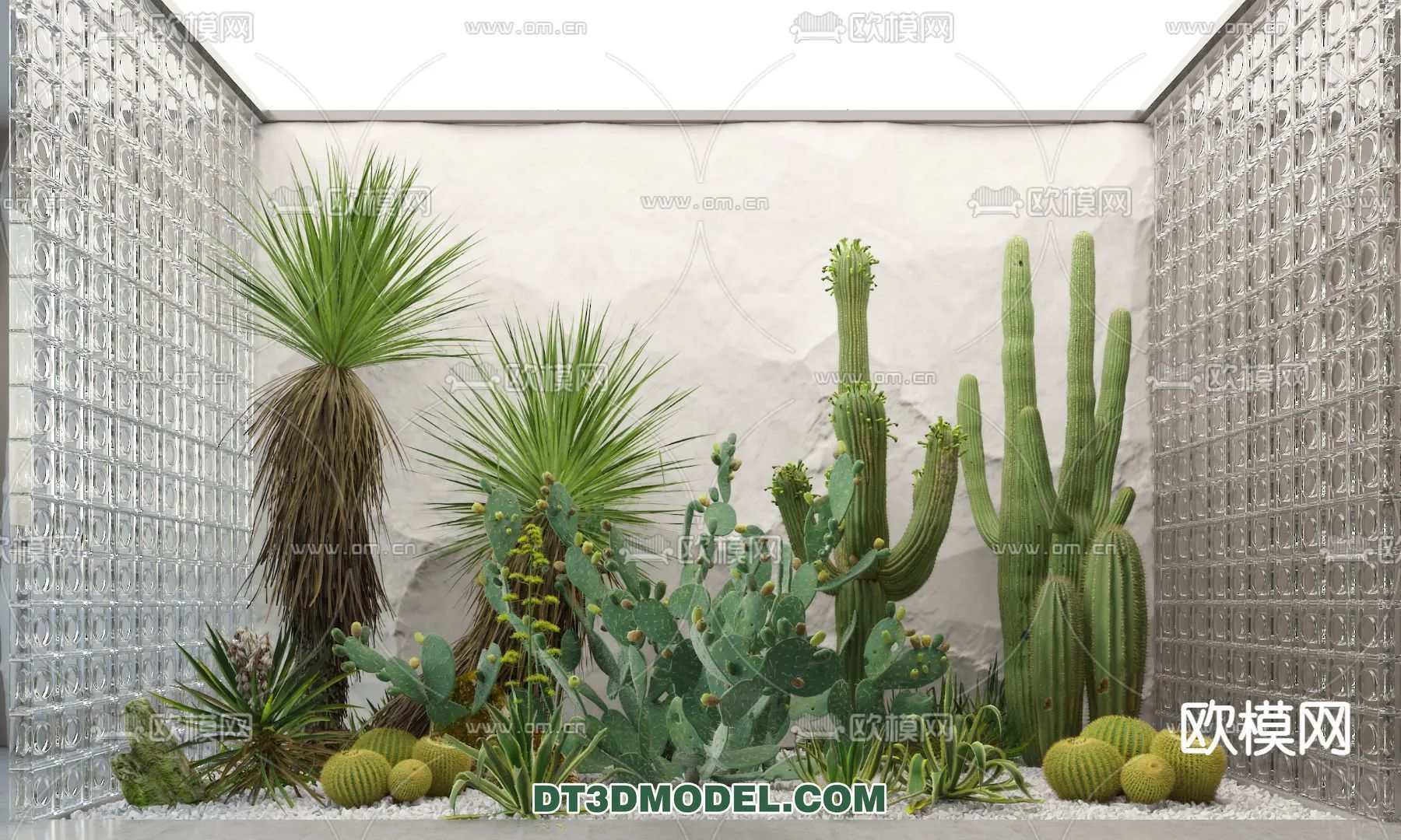 PLANT – CACTUS 3DMODELS – 087