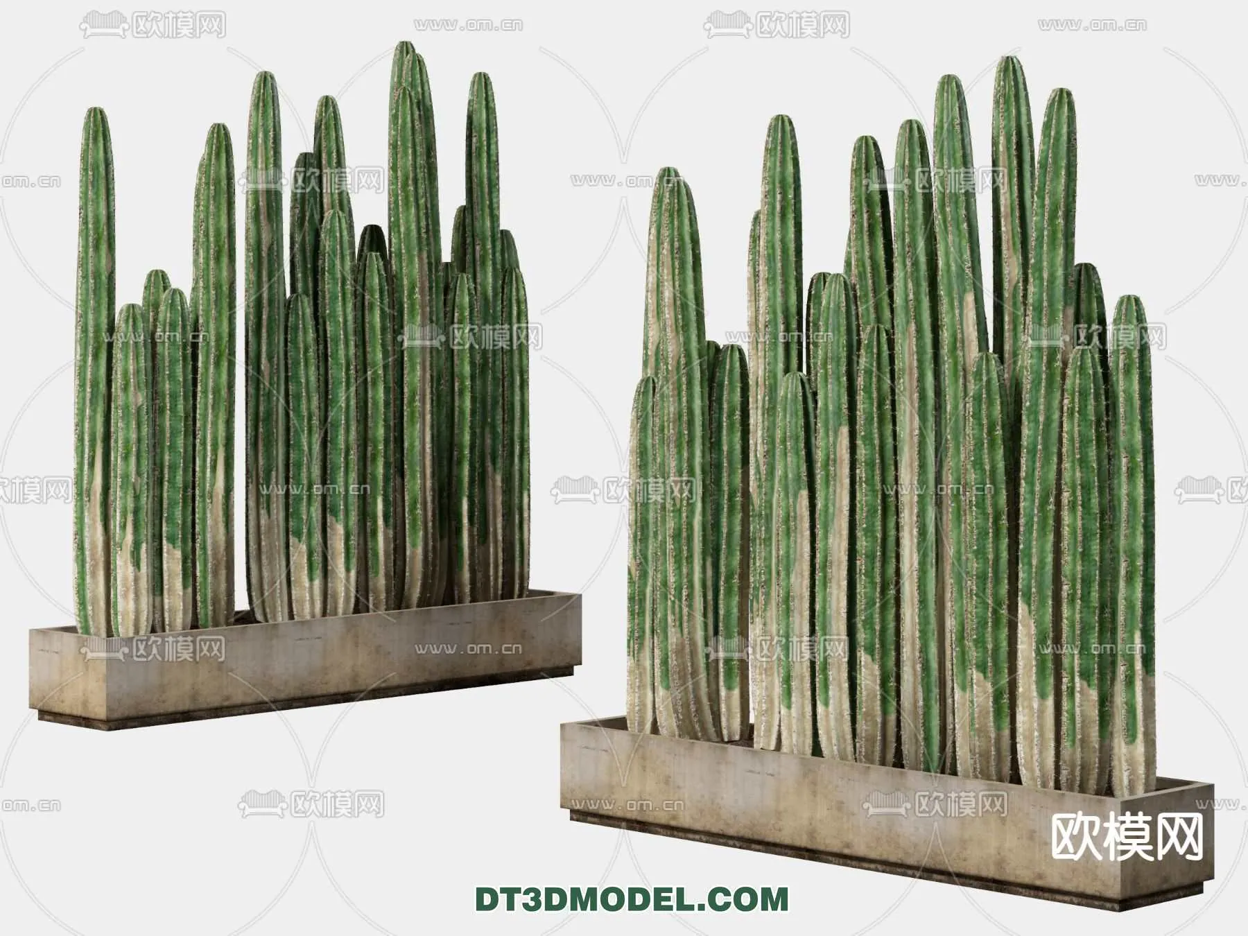 PLANT – CACTUS 3DMODELS – 094