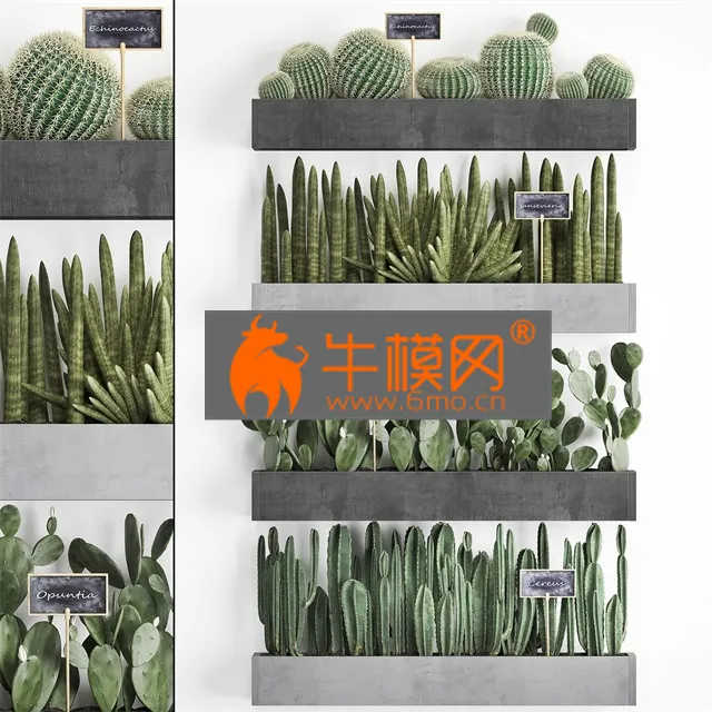 DECORATION – Cactus set wall decor vertical garden 43