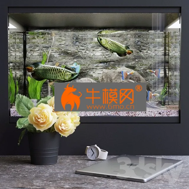 DECORATION – Decorative set with aquarium
