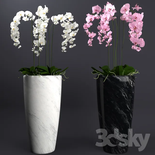 DECORATION – PLANT – 3DSMAX MODELS – 036