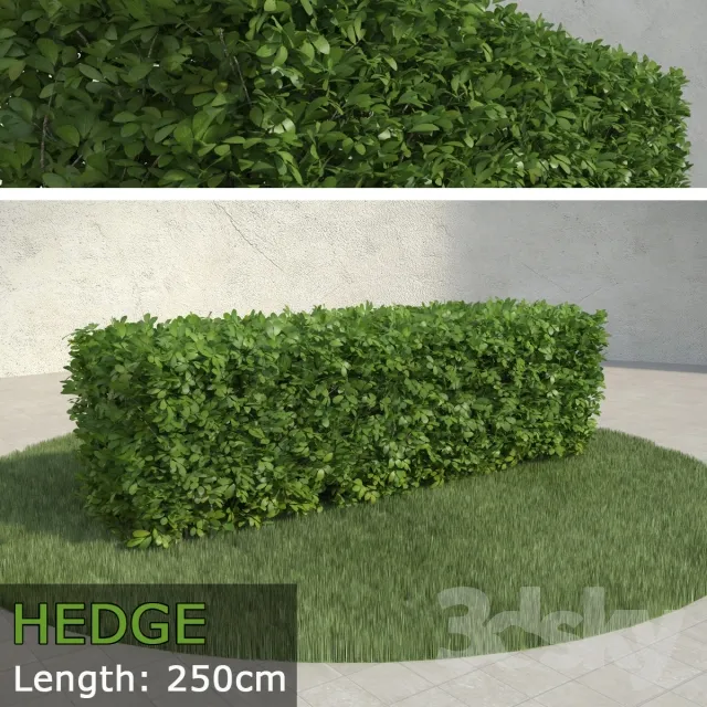 DECORATION – PLANT – 3DSMAX MODELS – 124