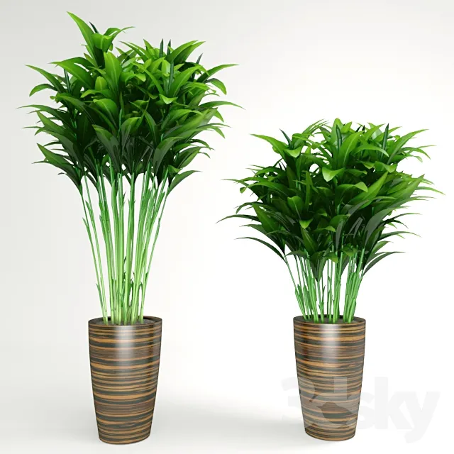 DECORATION – PLANT – 3DSMAX MODELS – 316