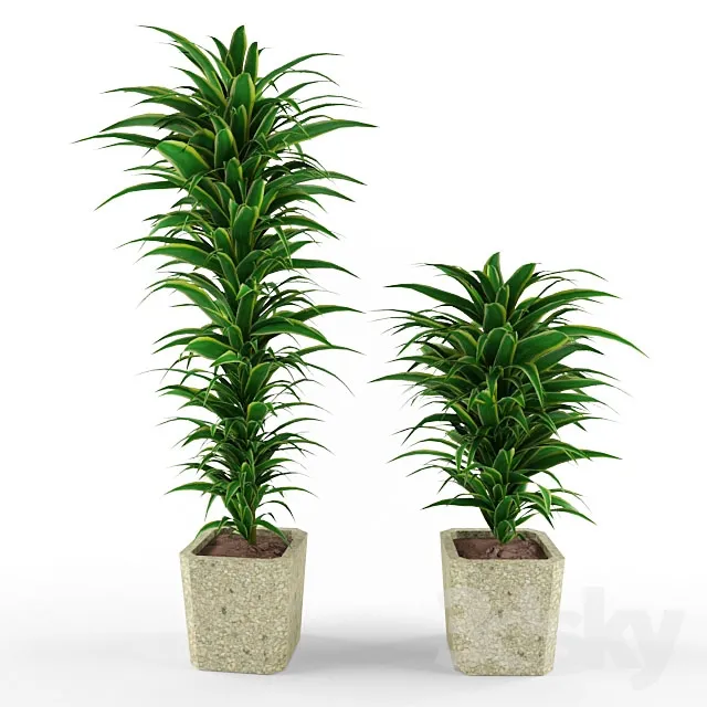 DECORATION – PLANT – 3DSMAX MODELS – 341