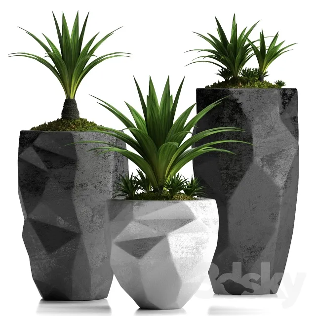 DECORATION – PLANT – 3DSMAX MODELS – 521