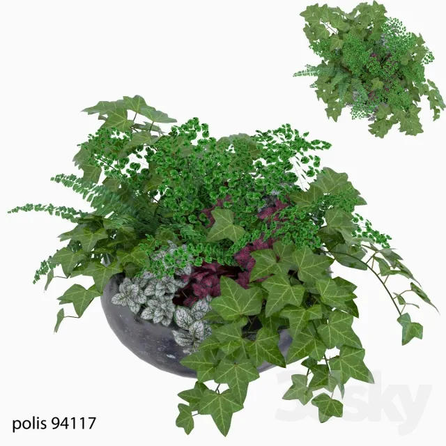 DECORATION – PLANT – 3DSMAX MODELS – 563