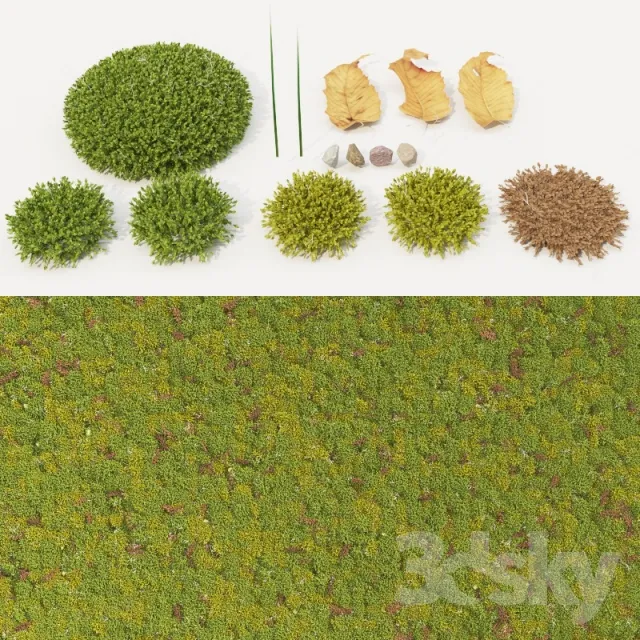 DECORATION – PLANT – 3DSMAX MODELS – 611