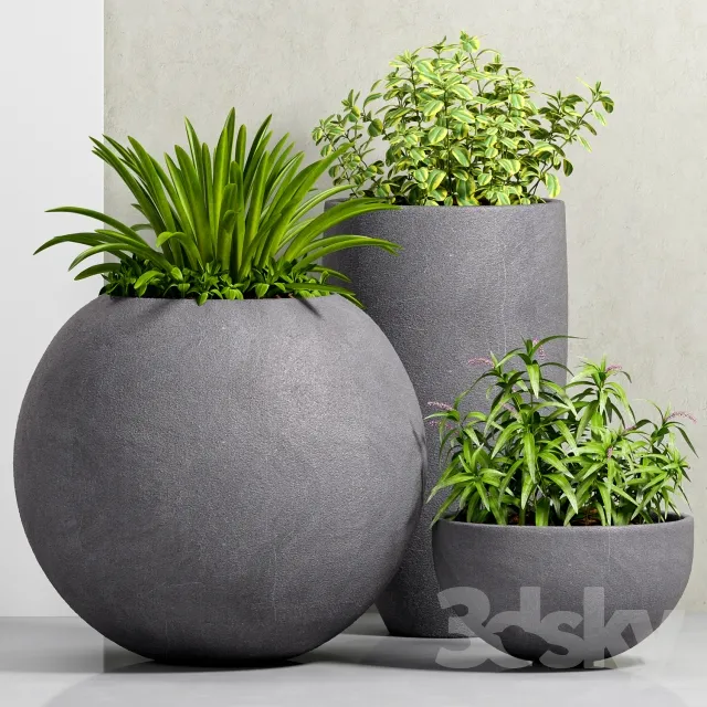 DECORATION – PLANT – 3DSMAX MODELS – 689