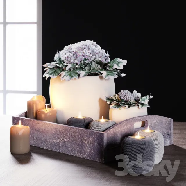 DECORATION – PLANT – 3DSMAX MODELS – 720