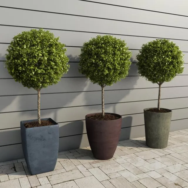 DECORATION – PLANT – 3DSMAX MODELS – 791