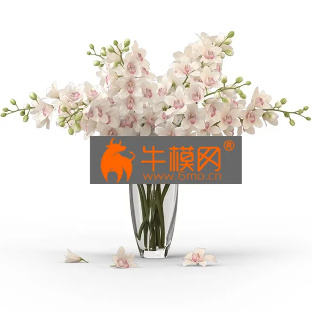 FLOWER – Bouquet of orchids
