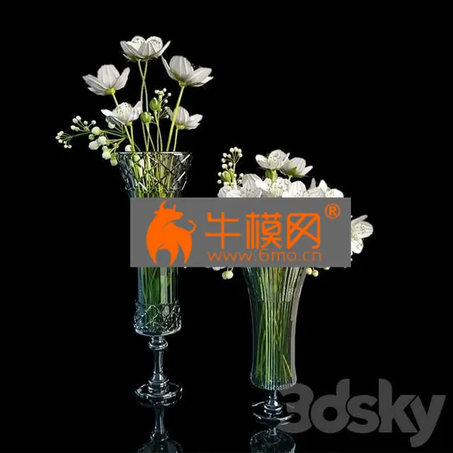 FLOWER – Bouquet of white flowers