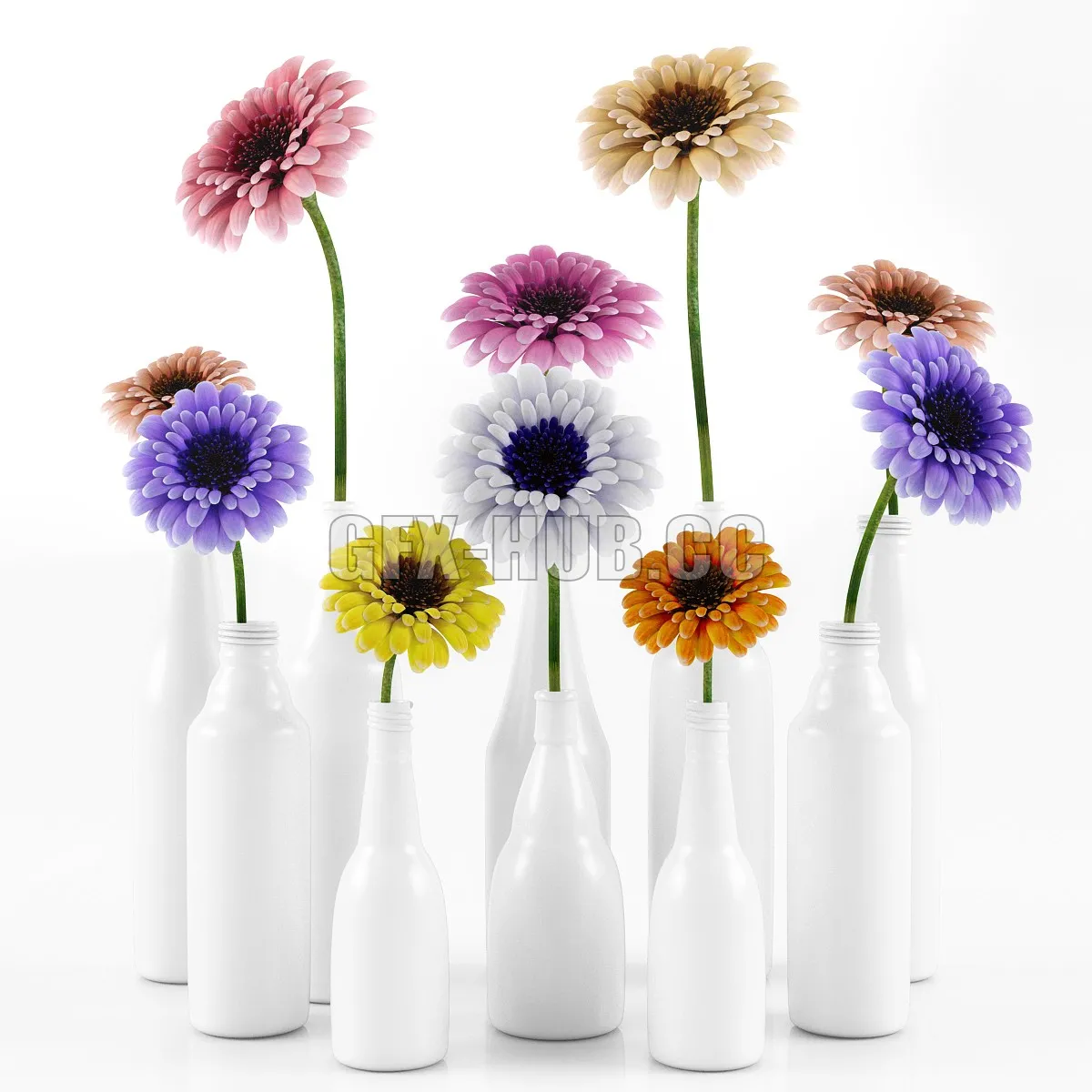FLOWER – GERBERA FLOWER WITH WHITE PLASTIC POTS