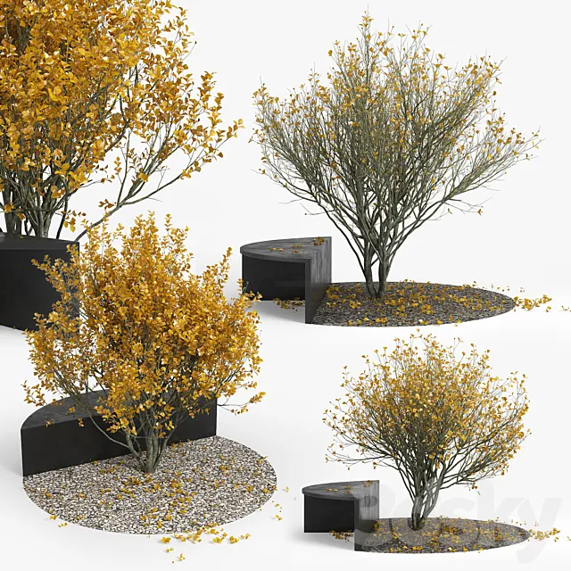 Autumn 3DS Max Model