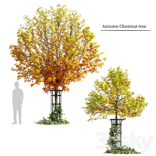 Autumn chestnut 3dsMax Model