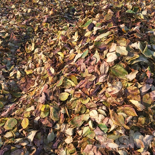 Autumn foliage (material) 3ds Max