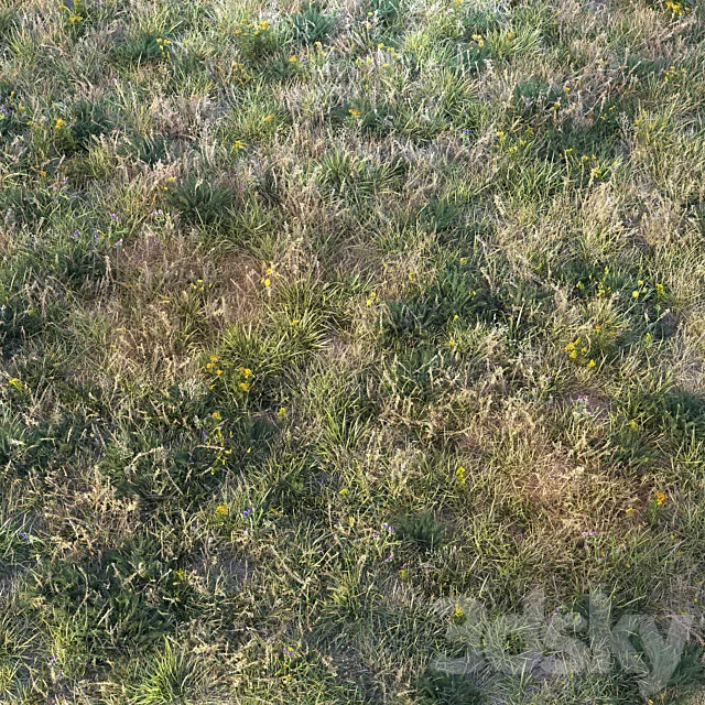 Autumn grass 3ds Max