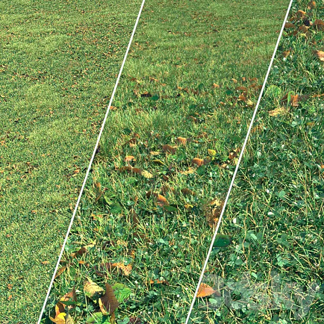 Autumn grass 3DS Max Model