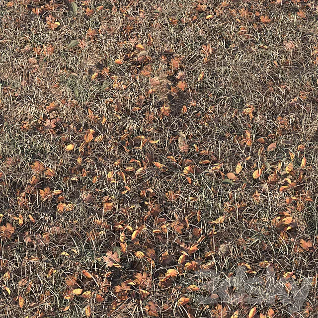 Autumn grass 3DSMax File