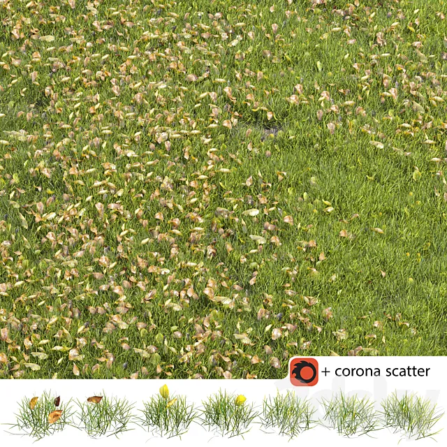 Autumn lawn 3DS Max Model