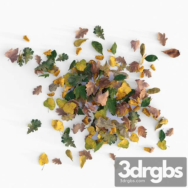 Autumn Leaves 3dsmax Download