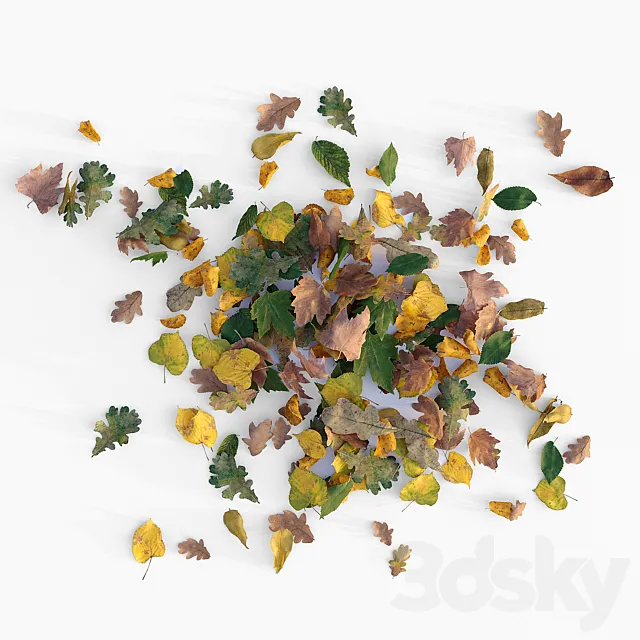 Autumn leaves 3DS Max Model