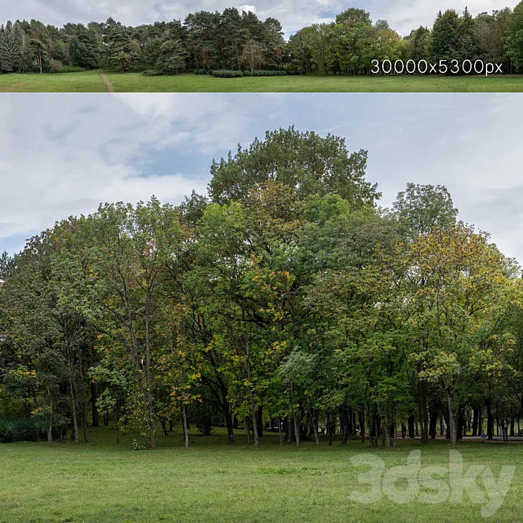 Autumn panorama with trees v2. 30k 3DS Max Model