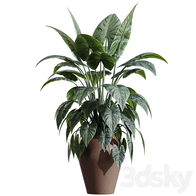 AV HousePlants 3dsMax Model