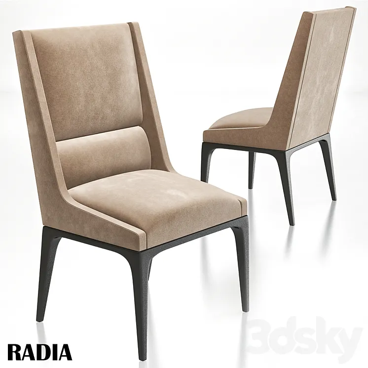 AXIS – radia dining chair 3DS Max