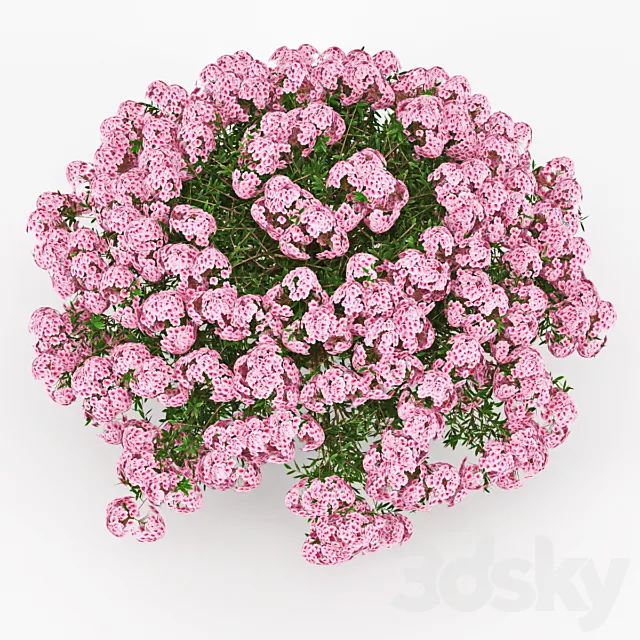 Azalea 3ds Max