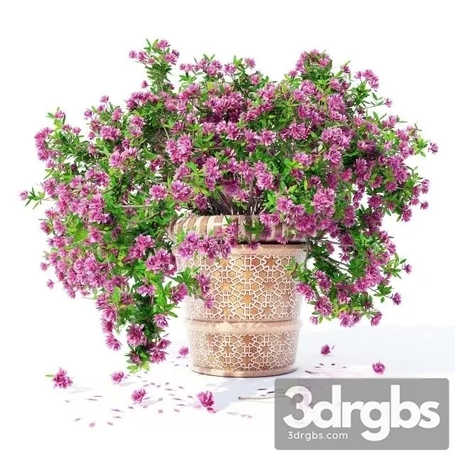 Azalea Bouquet 4 3dsmax Download