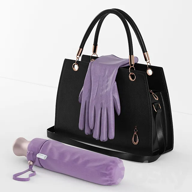 bags. gloves and an umbrella in the bag 3DSMax File